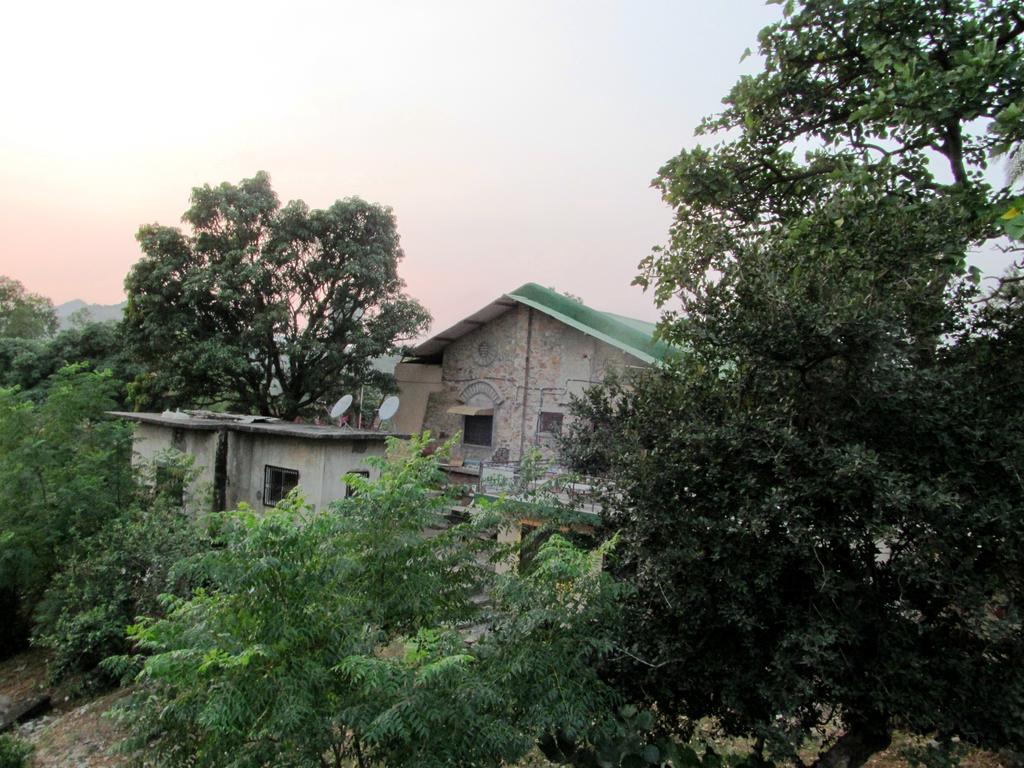 Forest Eco Lodge Abu Zewnętrze zdjęcie